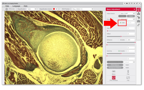 motic images plus成像软件怎么把背景调成白色