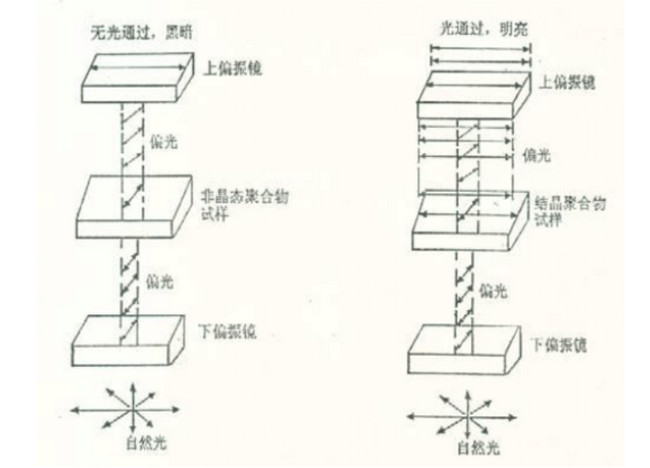 偏光显微镜成像原理图解