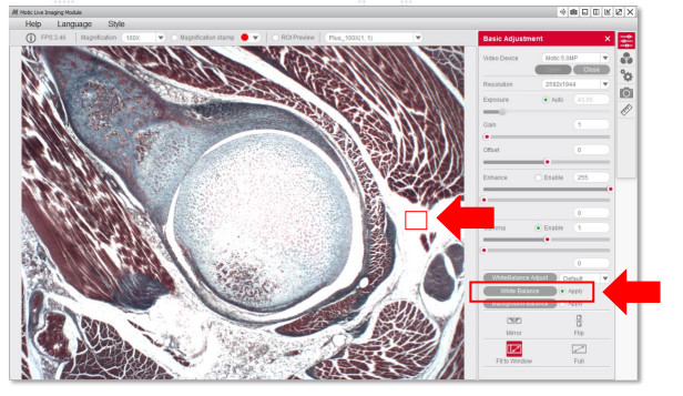 motic images plus成像软件怎么把背景调成白色?