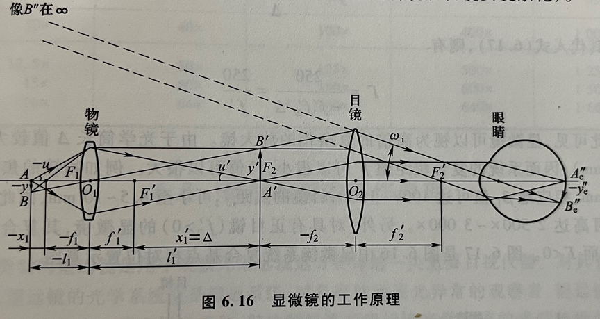 为什么显微镜目镜越短倍数越大，物镜越长放大倍数越大？